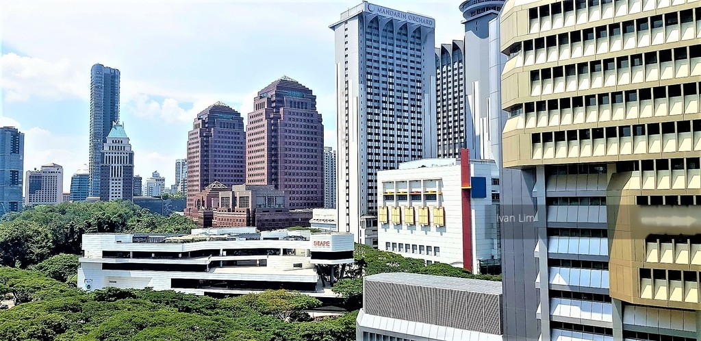 The Metz (D9), Condominium #183199802